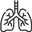Lungs icon